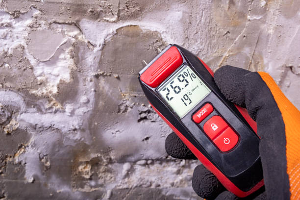 Best Health and Safety Mold Remediation in Murillo, TX